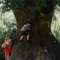 Linda Jo and Me[alex] on a large oak tree