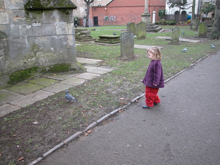 Grace chasing a pigeon