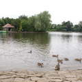 Saltwell pond