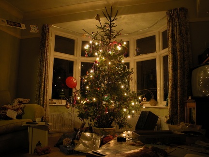 The tree in the living room