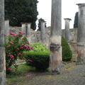 Pompeian garden