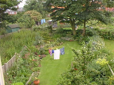 Back garden of Cragside in 1998