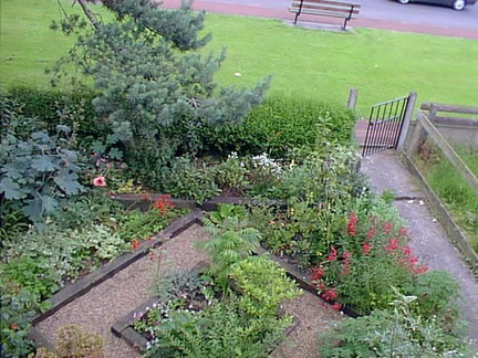 front-garden_1998