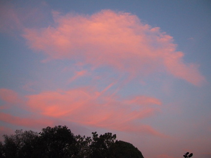 Some pink clouds