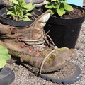 Planter boot