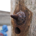 Rusting nut and bolt
