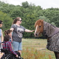 Julia, Mia, Fred, Sol, Kirsty and a horse pretending to be a zebra
