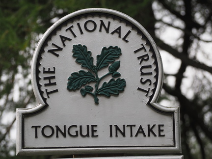 Tongue Intake