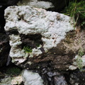 Lichenish rock