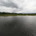 Brockholes pond