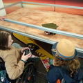 Mia and Isaac playing with a mars rover.jpg