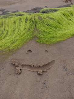 Smiling sand