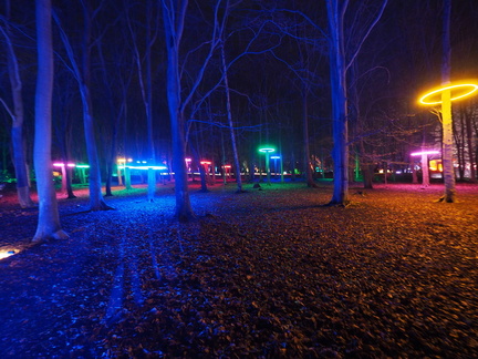 Illuminated trees