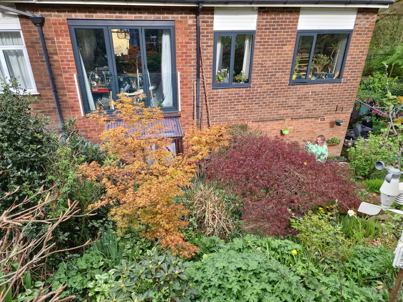 Two acers, and Kirsty