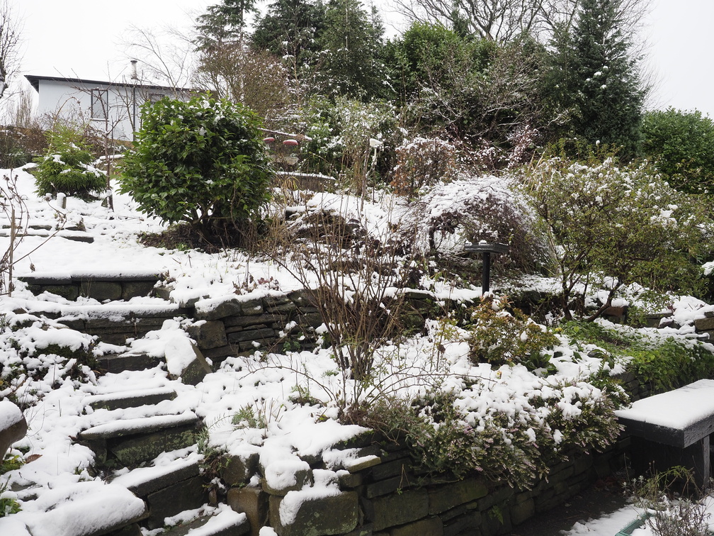 Garden in the snow