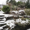 Garden in the snow
