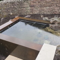 Pond