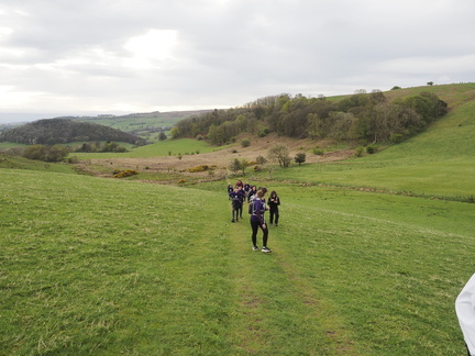 Walkers