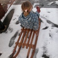 Grace on my sledge