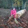 Grace on a log