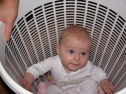 Mia sitting in a washing basket
