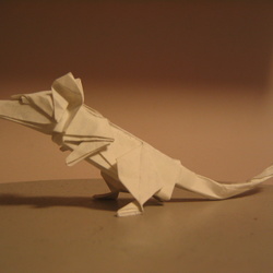 My origami models
