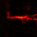 A tree illuminated in red