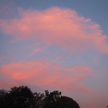 Some pink clouds