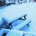 Bench with snow on
