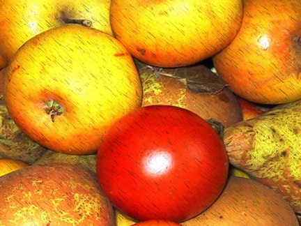 Fruit in a fruit bowl