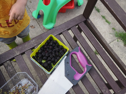 Blackberries and a saw