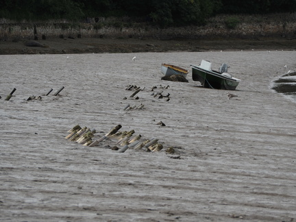 Boats in the mud