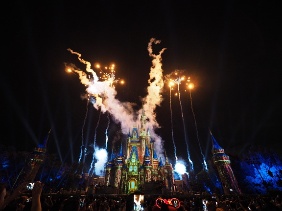 Disney castle
