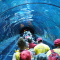 Underwater tunnel