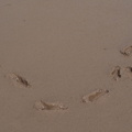 Isaac's footprints