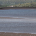 More of the Ulverston Channel