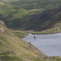 Levers Water