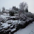 Garden in the snow