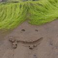 Smiling sand