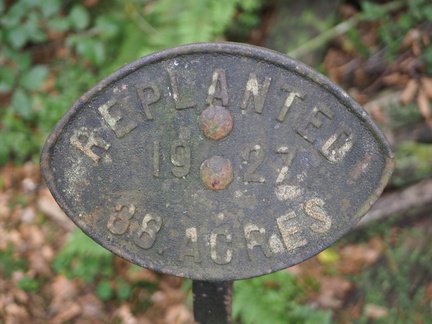 Replanted 1927