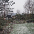 Snowing in the garden