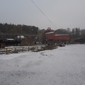 Beamish in the snow