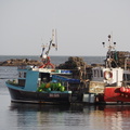 Boats in North Sunderland harbour