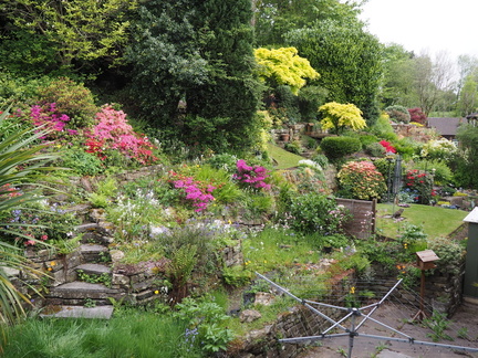Neighbours' colourful gardens