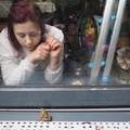 Mia, a frog and Smokey