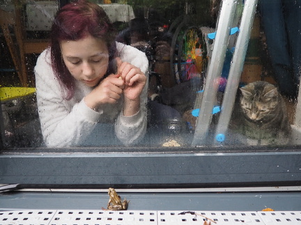 Mia, a frog and Smokey