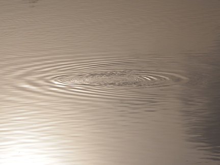 Ripples in the Tyne