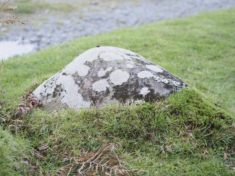 Rock emerging from the grass
