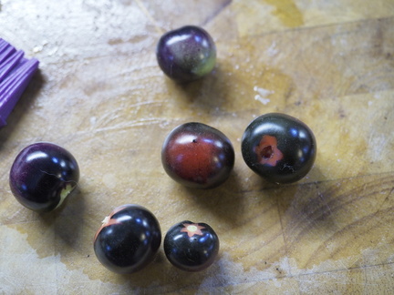 Black tomatoes