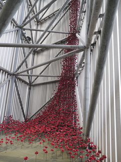 Ceramic poppies